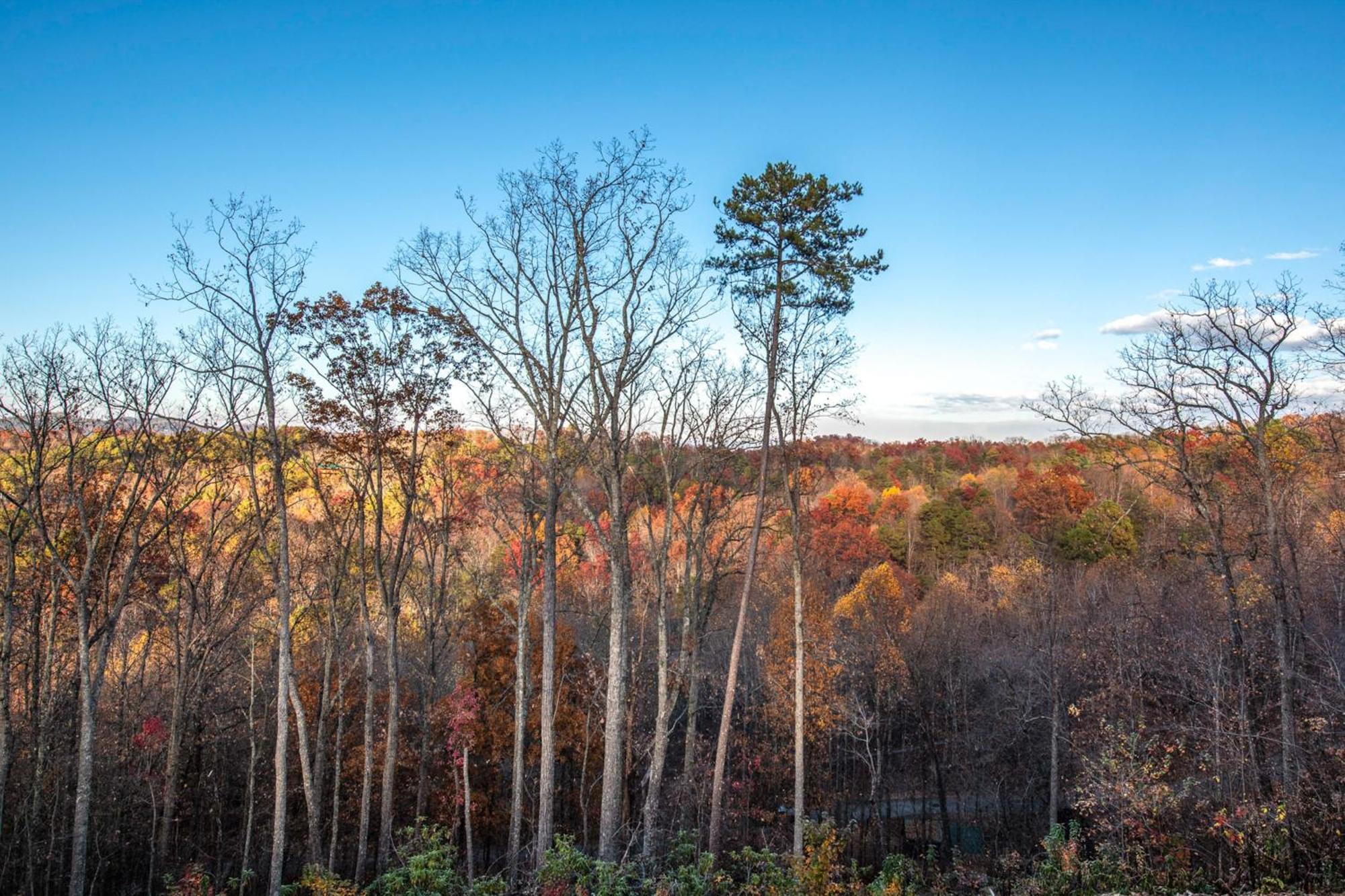 Villa The Treetop Sanctuary Sevierville Exterior foto